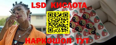 СК Краснодар